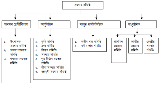 সমবায় সমিতির প্রকারভেদ